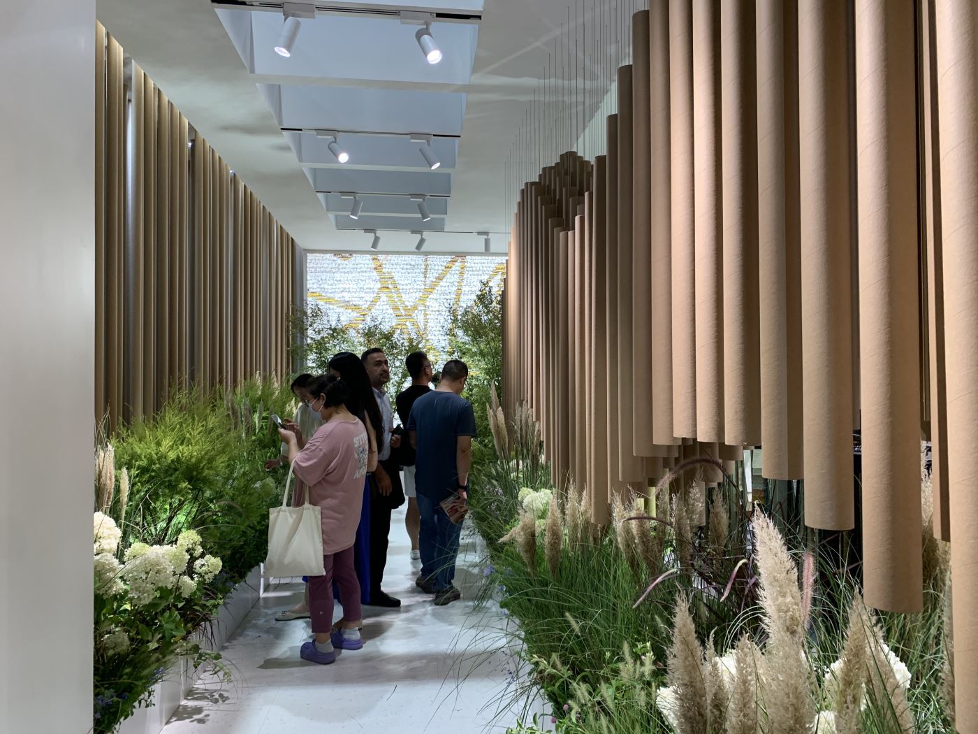 1735607693844456.jpg IMG_0417.JPG